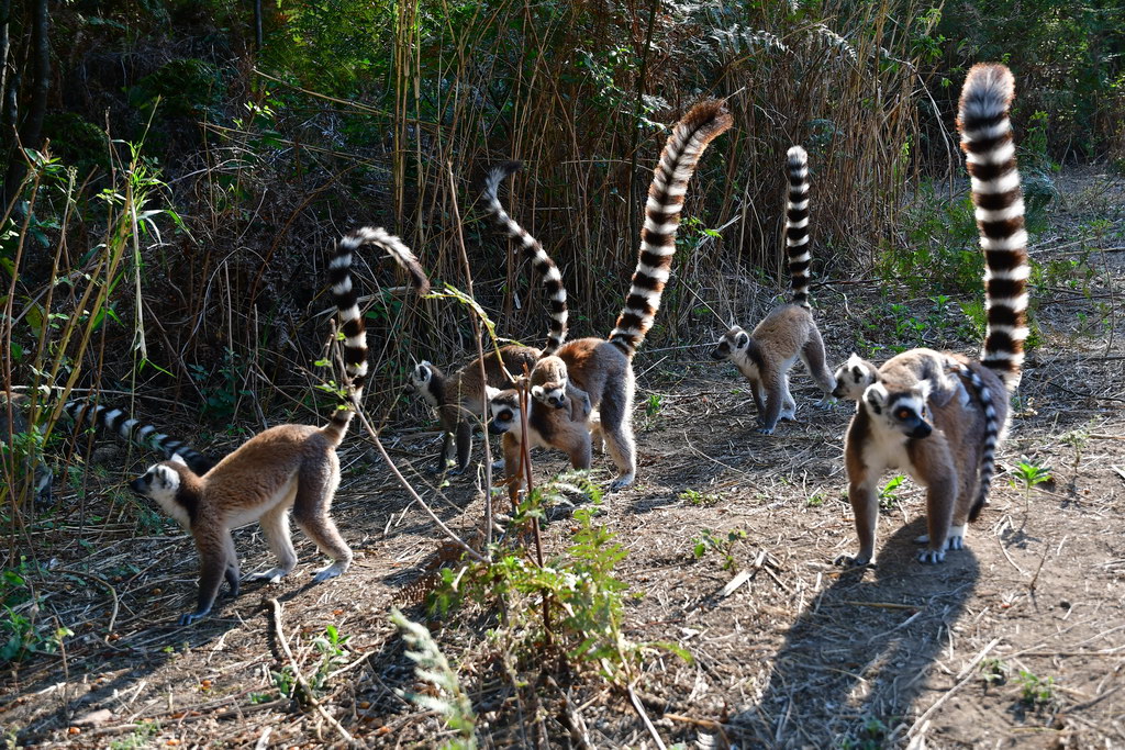 Anja Community Reserve